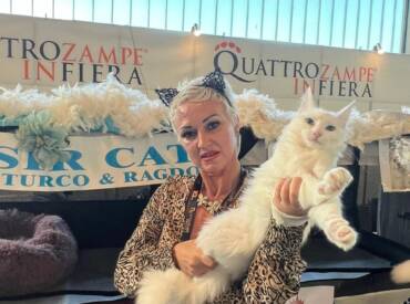 Cat show