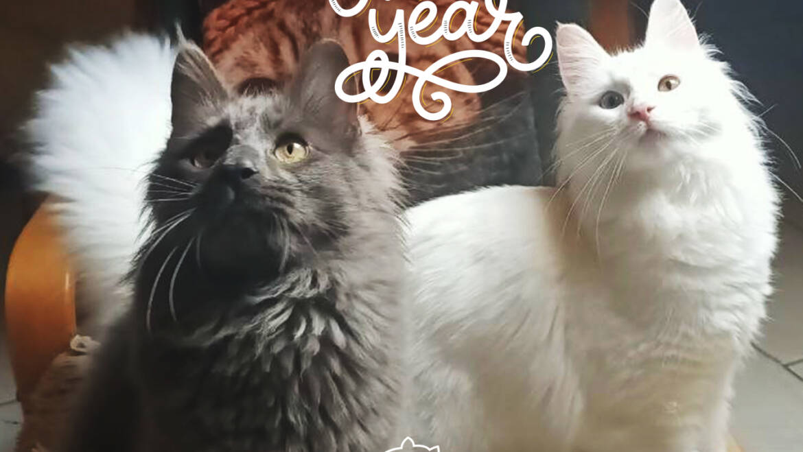 Happy New Year!